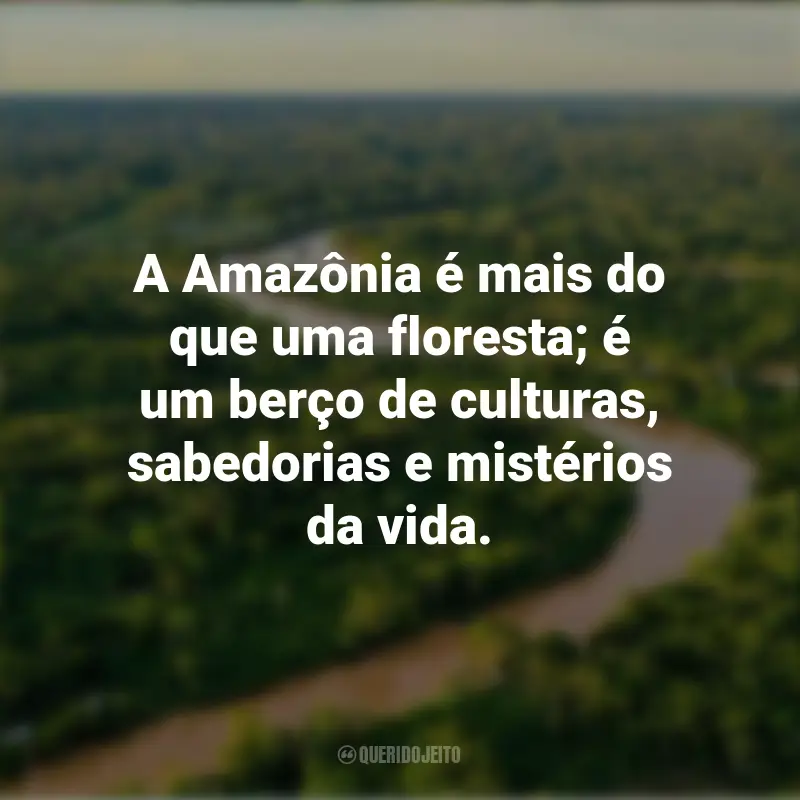 Frases do Dia da Amazônia: A Amazônia é mais do que uma floresta; é um berço de culturas, sabedorias e mistérios da vida.