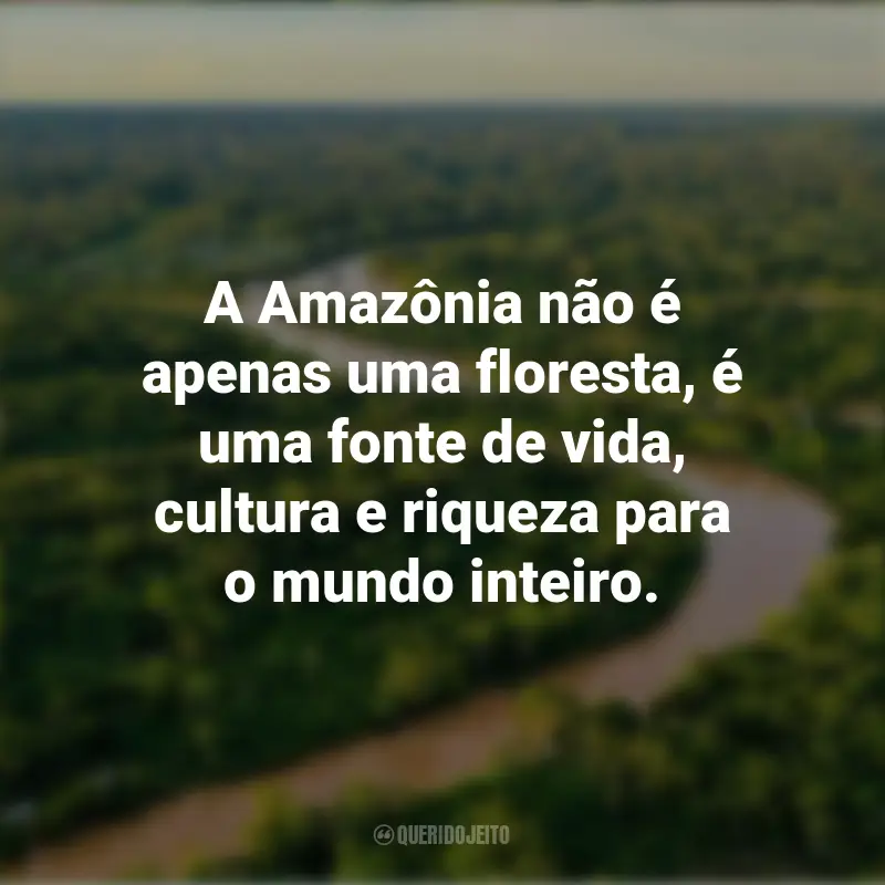 Melhores frases do Dia da Amazônia: A Amazônia não é apenas uma floresta, é uma fonte de vida, cultura e riqueza para o mundo inteiro.