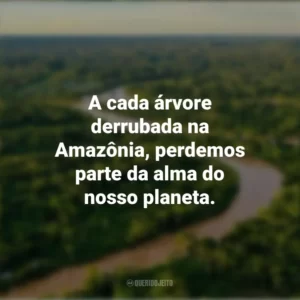 A cada árvore derrubada na Amazônia, perdemos parte da alma do nosso planeta. Dia da Amazônia