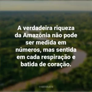 A verdadeira riqueza da Amazônia não pode ser medida em números, mas sentida em cada respiração e batida de coração. Dia da Amazônia