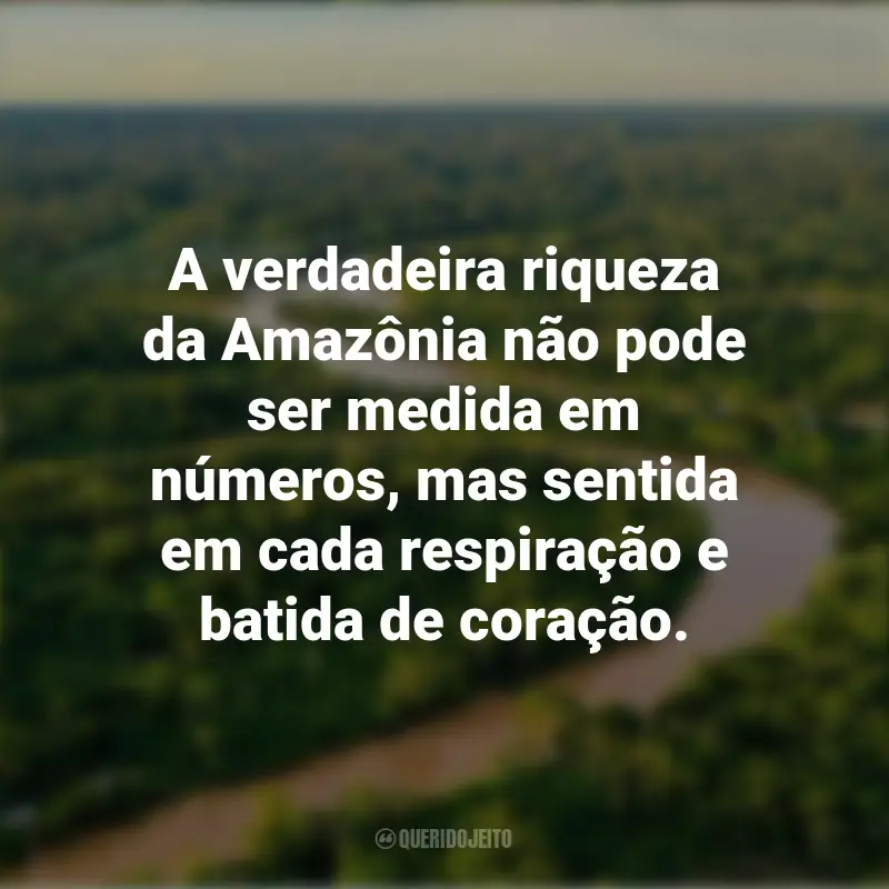 Frases do Dia da Amazônia: A verdadeira riqueza da Amazônia não pode ser medida em números, mas sentida em cada respiração e batida de coração.