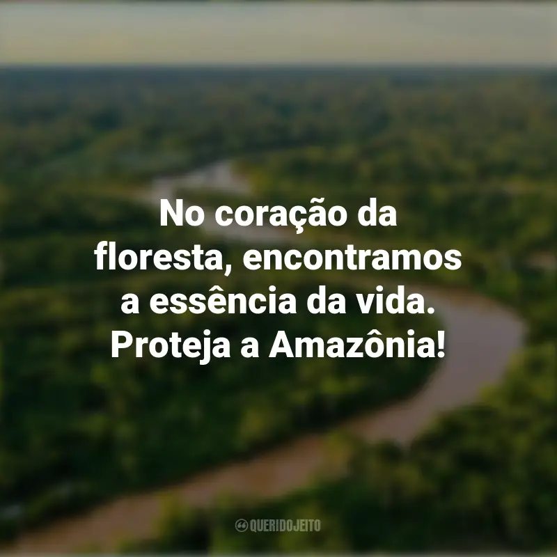 Melhores frases do Dia da Amazônia: No coração da floresta, encontramos a essência da vida. Proteja a Amazônia!
