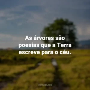 As árvores são poesias que a Terra escreve para o céu. Dia da Árvore