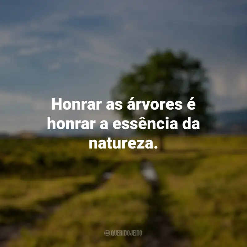 Pensamentos do Dia da Árvore e frases: Honrar as árvores é honrar a essência da natureza.