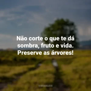 Não corte o que te dá sombra, fruto e vida. Preserve as árvores! Dia da Árvore