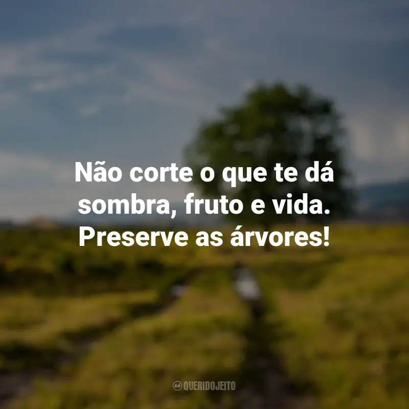 Frases do Dia da Árvore: Não corte o que te dá sombra, fruto e vida. Preserve as árvores!