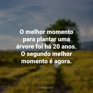 O melhor momento para plantar uma árvore foi há 20 anos. O segundo melhor momento é agora. Dia da Árvore