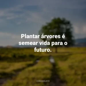 Plantar árvores é semear vida para o futuro. Dia da Árvore