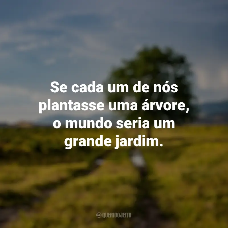 Dia da Árvore - Frases Perfeitas - Querido Jeito
