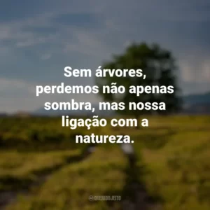 Sem árvores, perdemos não apenas sombra, mas nossa ligação com a natureza. Dia da Árvore