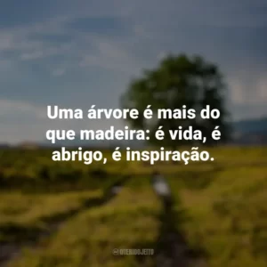 Uma árvore é mais do que madeira: é vida, é abrigo, é inspiração. Dia da Árvore