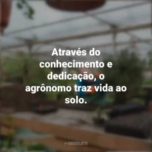 Através do conhecimento e dedicação, o agrônomo traz vida ao solo. Dia do Agrônomo