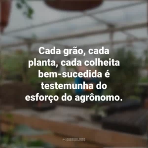 Cada grão, cada planta, cada colheita bem-sucedida é testemunha do esforço do agrônomo. Dia do Agrônomo