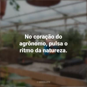No coração do agrônomo, pulsa o ritmo da natureza. Dia do Agrônomo