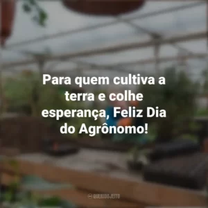 Para quem cultiva a terra e colhe esperança, Feliz Dia do Agrônomo! Dia do Agrônomo