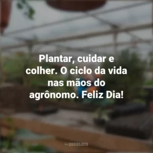 Plantar, cuidar e colher. O ciclo da vida nas mãos do agrônomo. Feliz Dia! Dia do Agrônomo