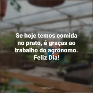 Se hoje temos comida no prato, é graças ao trabalho do agrônomo. Feliz Dia! Dia do Agrônomo