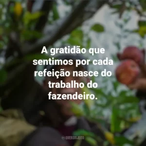A gratidão que sentimos por cada refeição nasce do trabalho do fazendeiro. Dia do Fazendeiro