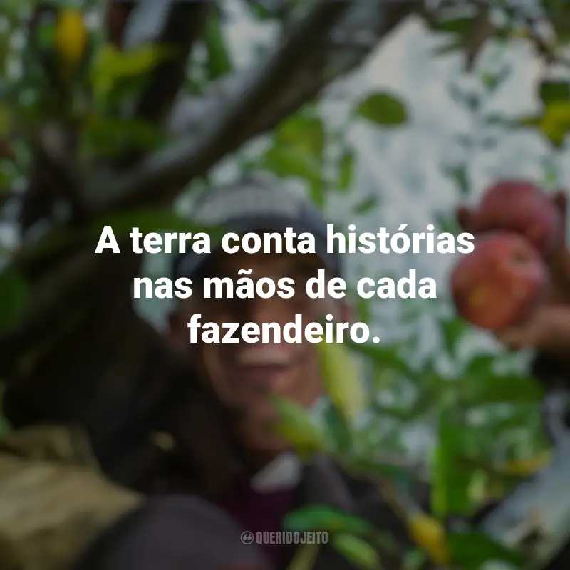 Melhores frases de Dia do Fazendeiro: A terra conta histórias nas mãos de cada fazendeiro.