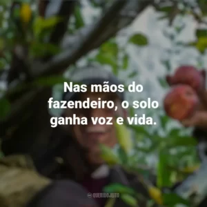 Nas mãos do fazendeiro, o solo ganha voz e vida. Dia do Fazendeiro