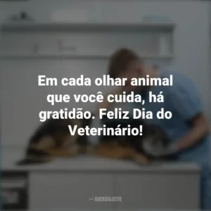 Em cada olhar animal que você cuida, há gratidão. Feliz Dia do Veterinário! Dia do Veterinário