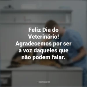 Feliz Dia do Veterinário! Agradecemos por ser a voz daqueles que não podem falar. Dia do Veterinário