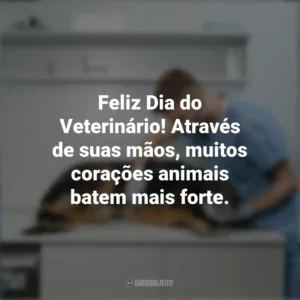 Feliz Dia do Veterinário! Através de suas mãos, muitos corações animais batem mais forte. Dia do Veterinário