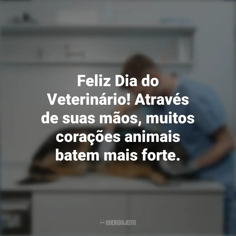 Pensamentos do Dia do Veterinário e frases: Feliz Dia do Veterinário! Através de suas mãos, muitos corações animais batem mais forte.