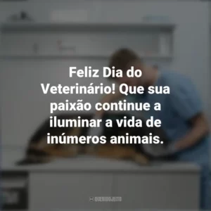 Feliz Dia do Veterinário! Que sua paixão continue a iluminar a vida de inúmeros animais. Dia do Veterinário