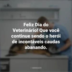 Feliz Dia do Veterinário! Que você continue sendo o herói de incontáveis caudas abanando. Dia do Veterinário