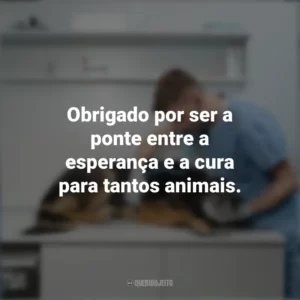 Obrigado por ser a ponte entre a esperança e a cura para tantos animais. Dia do Veterinário
