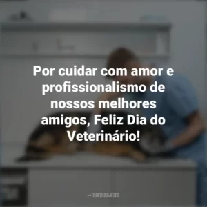 Por cuidar com amor e profissionalismo de nossos melhores amigos, Feliz Dia do Veterinário! Dia do Veterinário