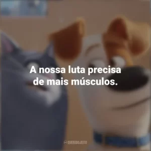 A nossa luta precisa de mais músculos. Pets: A Vida Secreta dos Bichos (Filme)