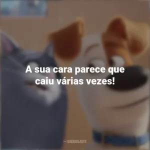 A sua cara parece que caiu várias vezes! Pets: A Vida Secreta dos Bichos (Filme)