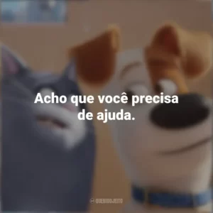 Acho que você precisa de ajuda. Pets: A Vida Secreta dos Bichos (Filme)