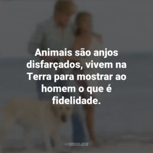 Animais são anjos disfarçados, vivem na Terra para mostrar ao homem o que é fidelidade. Marley e Eu (Filme)