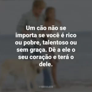 Um cão não se importa se você é rico ou pobre, talentoso ou sem graça. Dê a ele o seu coração e terá o dele. Marley e Eu (Filme)