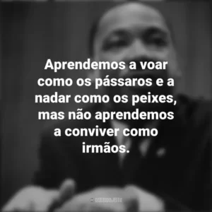 Aprendemos a voar como os pássaros e a nadar como os peixes, mas não aprendemos a conviver como irmãos. Martin Luther King
