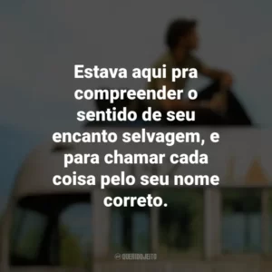 Estava aqui pra compreender o sentido de seu encanto selvagem, e para chamar cada coisa pelo seu nome correto. Na Natureza Selvagem (Filme)