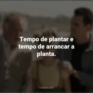 Tempo de plantar e tempo de arrancar a planta. Nunca te Esquecerei (Filme)