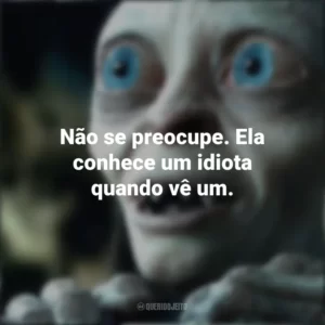 Não se preocupe. Ela conhece um idiota quando vê um. O Senhor dos Anéis (Filme)