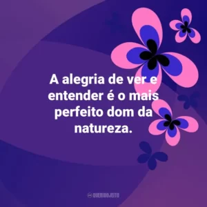A alegria de ver e entender é o mais perfeito dom da natureza. Otimismo