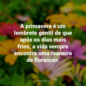 A primavera é um lembrete gentil de que após os dias mais frios, a vida sempre encontra uma maneira de florescer. Primavera