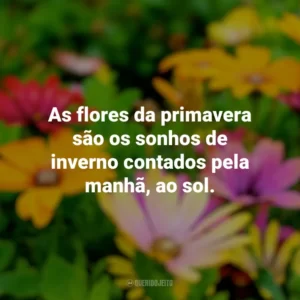 As flores da primavera são os sonhos de inverno contados pela manhã, ao sol. Primavera