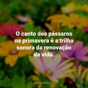 O canto dos pássaros na primavera é a trilha sonora da renovação da vida. Primavera