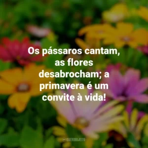 Os pássaros cantam, as flores desabrocham; a primavera é um convite à vida! Primavera