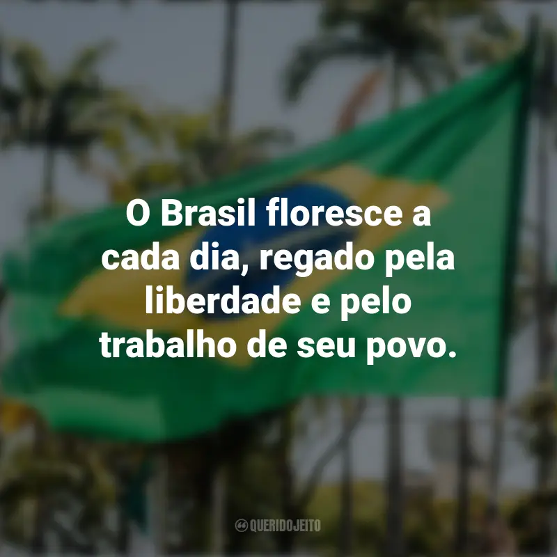 Sobre a Independência do Brasil frases inspiradoras: O Brasil floresce a cada dia, regado pela liberdade e pelo trabalho de seu povo.