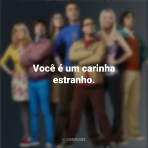 Você é um carinha estranho. The Big Bang Theory (Série)