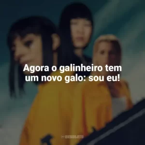 Agora o galinheiro tem um novo galo: sou eu! Vis a Vis (Série)