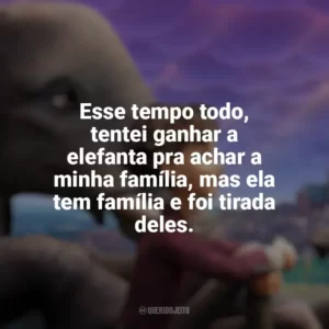 Esse tempo todo, tentei ganhar a elefanta pra achar a minha família, mas ela tem família e foi tirada deles. A Elefanta do Mágico (Filme)